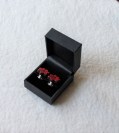 etui clips klein1